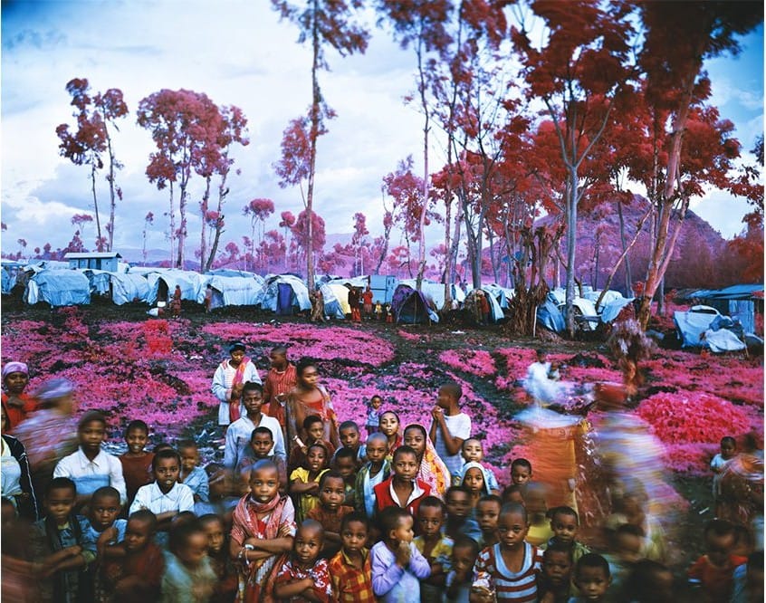 Un gruppo di persone sotto alberi dalle chiome rosa