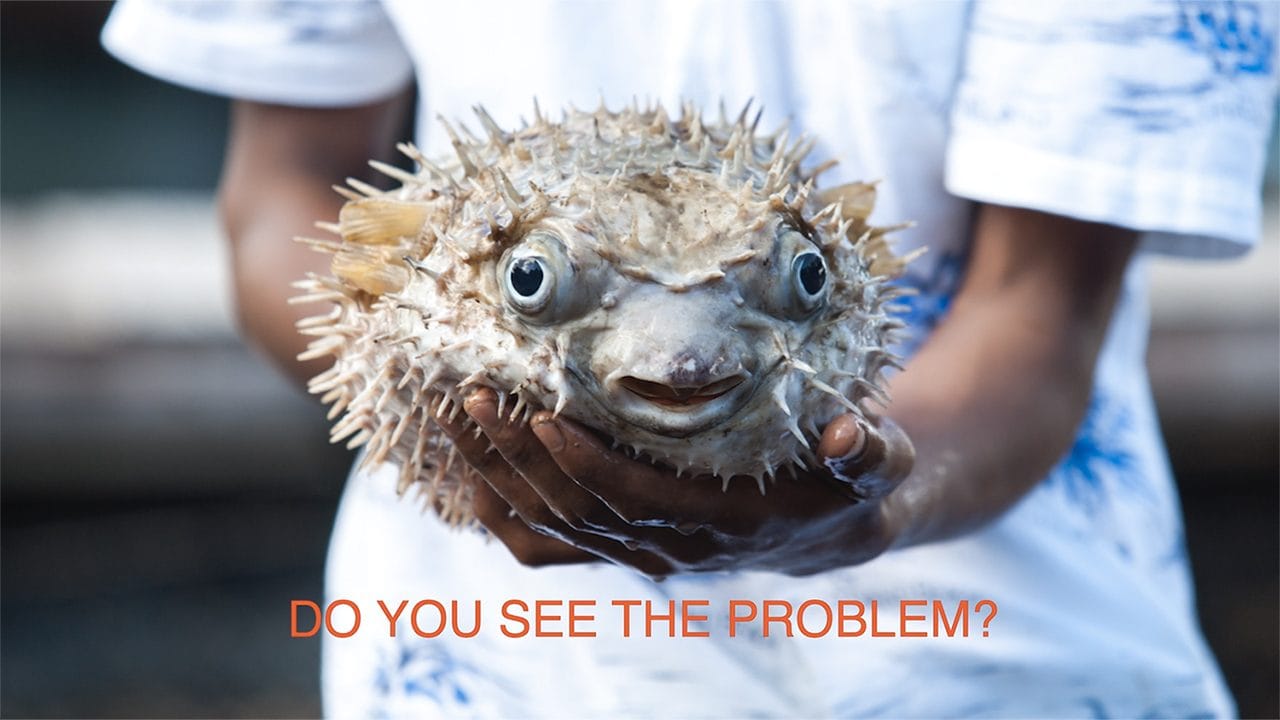 Mani che reggono un pesce palla con la scritta Do you see the problem?